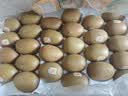 佳沛（zespri）新西兰 金果25-27粒特大单果124-146g 端午礼物水果礼盒 猕猴桃 实拍图