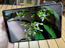 HUAWEI MatePad Mini 支持教育优惠 华为平板电脑小平板大手机 SIM卡版可通话移动办公12+256GB雪域白 实拍图