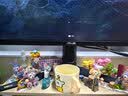 华硕小金刚VG27AQL5A 27英寸显示器2K200Hz显示器超频210Hz FastIPS FreeSync无撕裂 0.3ms响应 HDR400 实拍图
