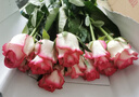 京东鲜花玫瑰花随机颜色30枝(2-3种颜色)40cm鲜切花生活花束源头直发 实拍图