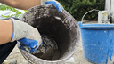 雨虹防水 堵漏王 水不漏 快干水泥 堵漏宝塑钢泥 地漏安装 管根堵漏 4KG 实拍图