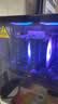 利民（thermalright）Peerless Assassin 120 SE ARGB 风冷散热器AGHP逆重力6热管逆转双C12C-S风扇PA120 SE ARGB 实拍图