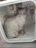 霍曼宠物烘干箱Pro 猫咪吹风机狗狗自动吹干箱底部出风快速烘干更安静 实拍图