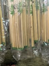 【干净卫生】一次性筷子批发碗筷批发打包餐具熊猫膜独立包装野餐 加粗300双 实拍图