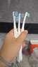 维克（Virbac）牙刷犬猫专用宠物牙膏牙刷幼猫狗狗犬猫专用口腔清洁护理（单支） 实拍图
