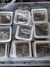 燕京国产小粒纳豆 激酶发酵菌健康轻食代餐50g*18盒 解冻即食低脂低卡 实拍图