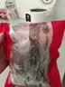 五芳斋速冻酱香猪肉粽 100g*5只 嘉兴酱香肉粽端午粽子早餐食品 实拍图