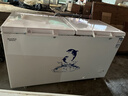 澳柯玛（AUCMA）500升单温冷柜家用卧式大冰柜 雪糕柜 冷藏柜冷冻柜 顶开门冰箱一级能效BC/BD-500HNE 【价保618】 实拍图