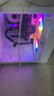 领睿英特尔酷睿i7升24核RTX4060独显64G内存台式电脑主机黑神话悟空3A游戏办公设计师渲染组装电脑全套 六：32线程强芯+32G+RTX4050/黑悟空 主机+24寸高清显示器 实拍图