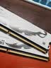 酷芯客16GB(8G×2)套装 DDR4 3600 台式机内存条刀客 精选颗粒 C18 霜月白 实拍图