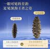 京东京造大连有机鲜食海参皇500g*3 共9-15只独立包装 冷冻即食海参礼盒 实拍图