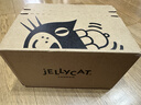 Jellycat害羞生日米色邦尼兔动物毛绒玩偶安抚娃娃送礼生日礼物 害羞生日米色邦尼兔 Medium 实拍图