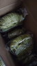 湾琴河 蔬菜竹升面600g 独立包装面条 蔬菜面杂粮面挂面龙须面 实拍图
