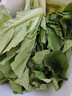 山东农家种植新鲜奶油小白菜时令蔬菜绿叶菜涮菜清脆巨嫩好吃 【泡沫箱发货-到手鲜】小白菜（2斤） 实拍图