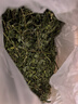 喜帅烘干紫花苜蓿草 幼兔兔粮牧草干草龙猫荷兰猪磨牙饲料净重750g 实拍图
