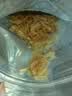 水一方 现烤烤鱼片 烤鱼片即食海味鱼干海鲜零食大连特产 鲜烤鱿鱼碎50g 实拍图