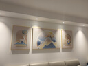 猫九酱奶油风客厅装饰画福鹿三联画高级感壁画大气沙发背景墙挂画 实拍图