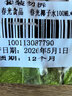 春光食品 海南特产 100%纯椰子水100ML*6 NFC椰青椰汁饮料椰子原浆 实拍图