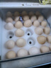 京东京造便携分格药盒外出旅行分装器随身收纳药品盒首饰盒密封防潮 实拍图