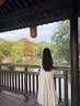 南木熊大码女装胖妹妹韩系吊带背心短袖半身裙遮肚子夏季显瘦时尚套装女 黄色 吊带+上衣+半身裙三件套 L 【100-120斤】 实拍图
