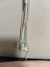 漫步者（EDIFIER）H230P Type-C入耳式有线耳机 Hi-Res金标认证 网课办公K歌麦克风 适用于华为小米oppo手机 青木绿 实拍图