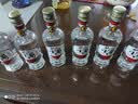 董酒复刻系列白标54度125ml 董香型品鉴小酒版小瓶装贵州纯粮食白酒 54度 125mL 6瓶 【6瓶】 实拍图