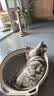 疯狂的主人猫抓柱剑麻猫抓板猫玩具耐抓耐磨不掉屑立式猫爬架自嗨解闷磨爪子 实拍图