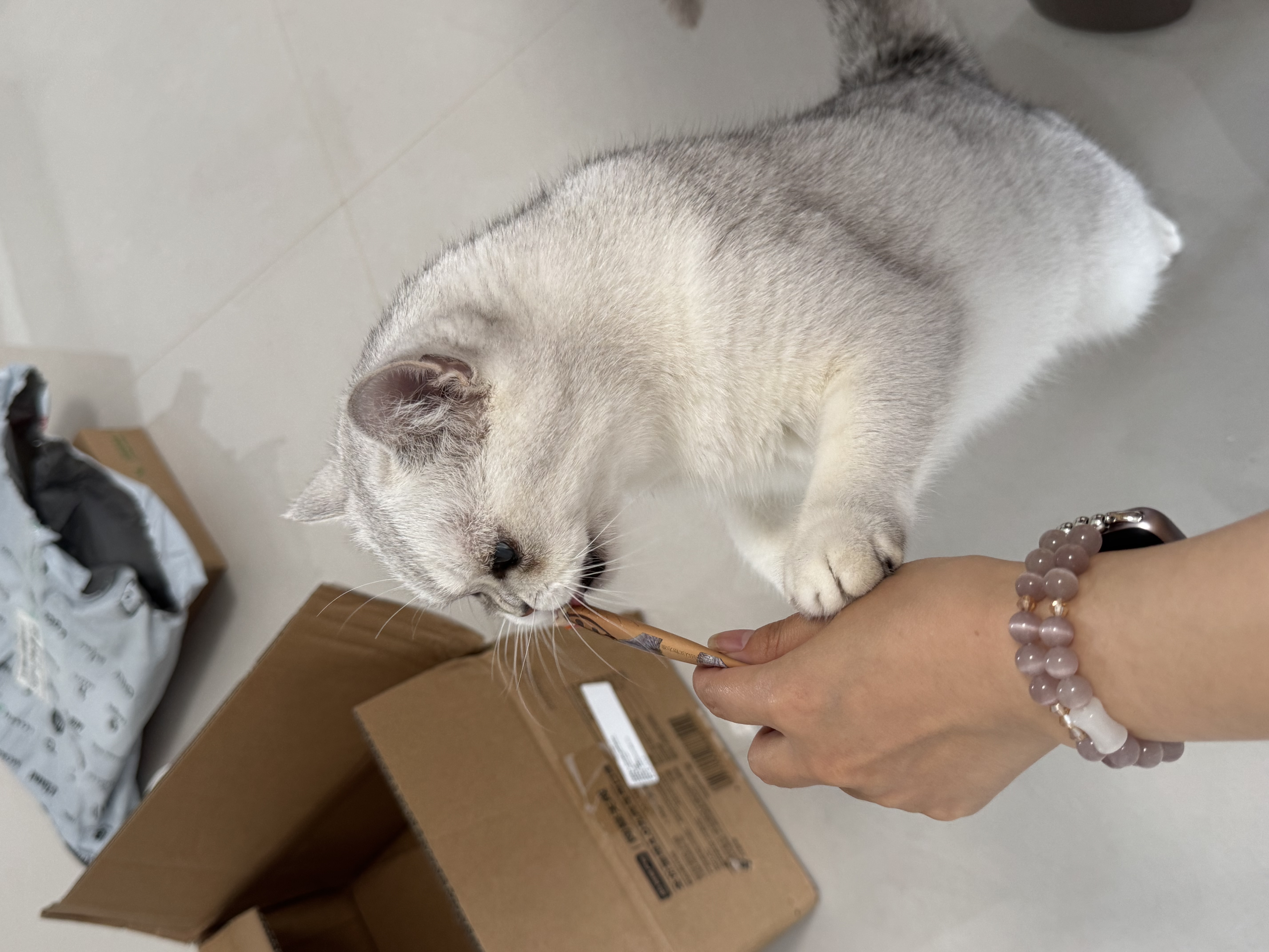 网易严选全价猫粮4.0 成幼猫通用无谷全阶段滋补猫粮 乳鸽乌鸡味1.5kg*6袋 实拍图