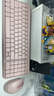 罗技（Logitech）MK251无线蓝牙键盘鼠标套装 办公商务笔记本电脑 数字键盘99键粉色键鼠套装（K251键盘+M196鼠标） 实拍图