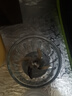 苏泊尔（SUPOR）婴儿辅食机 多功能宝宝辅食工具 辅食料理机 8叶双杯双刀 FB10F 实拍图