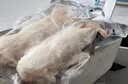 带筋纯前蹄 现杀土猪蹄整只新鲜散养农家带筋猪蹄子猪手猪蹄切块 纯前蹄整个带筋4斤装 实拍图