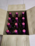 天地壹号苹果醋饮料650ml*12整箱酸爽解腻低糖0脂 饮料多喝醋有好处 实拍图