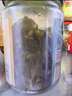 川娃子烧椒牛肉酱下饭菜下饭酱拌饭拌面酱 辣椒酱 辣酱 调味酱230g 实拍图
