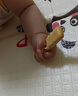 亨氏（Heinz）婴幼儿蔬菜谷物磨牙棒饼干婴儿宝宝营养零食64g独立小包装6月+ 实拍图
