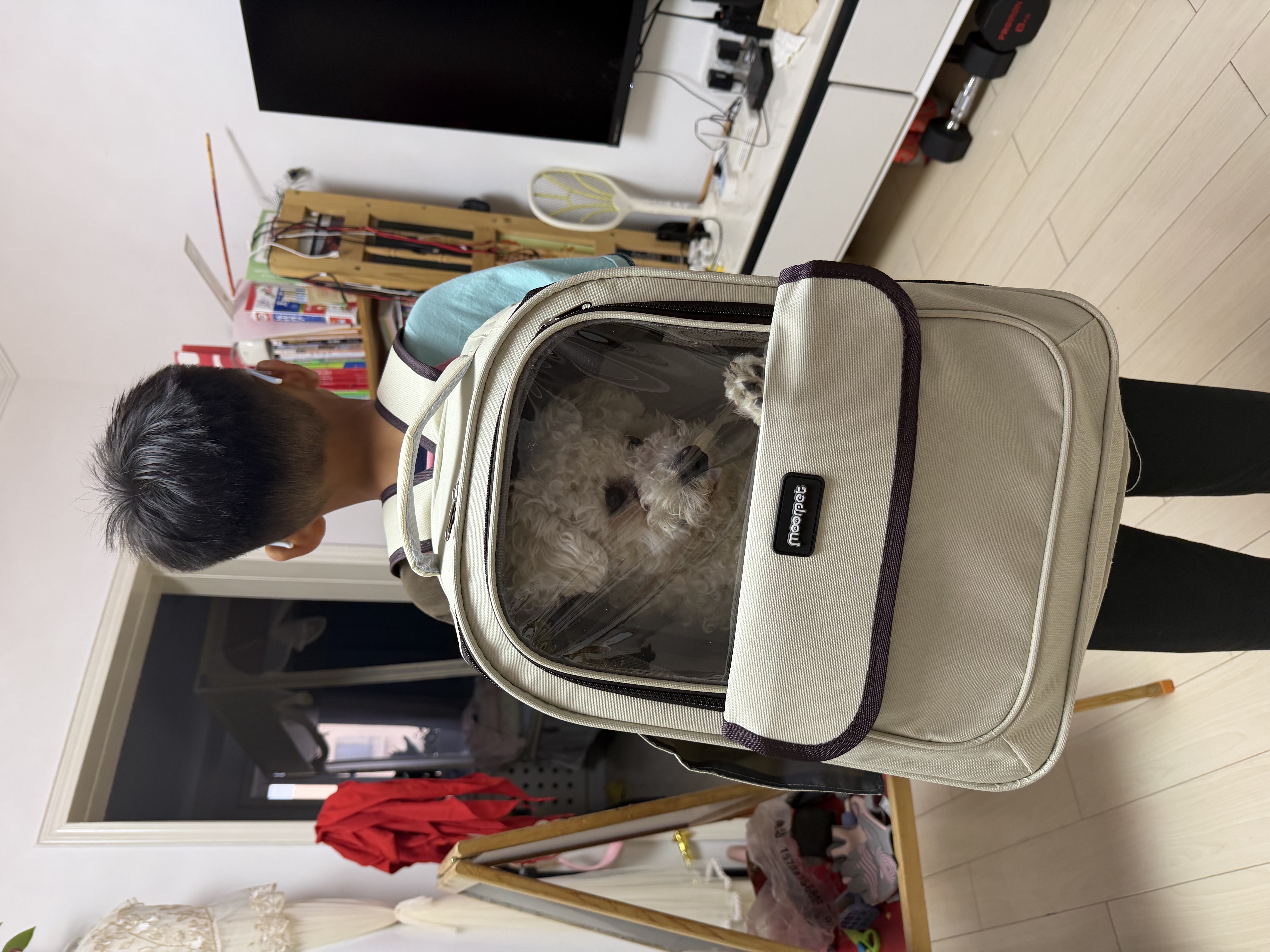 喵先生猫包外出大号宠物包太空舱猫咪背包便携包猫狗双肩包猫包车载箱包 卡其棕 实拍图