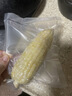 达派（dapai）德国真空封口机家用商用干湿两用全自动抽真空包装真空食品保鲜机塑封机抽腊肉真空封口 店长推荐【干湿两用】下单享袋子 实拍图