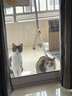 网易严选全价猫粮4.0 宠物主粮成幼猫无谷多重禽肉高蛋白 鸡鸭禽肉味10kg 实拍图