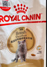 皇家猫粮 英短成猫粮 BS34 通用粮 12月以上 2KG 实拍图