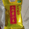 十月稻田 山西黄小米5斤 25年新米 小米黄小米 小米杂粮 早餐 粥 节日送礼 实拍图