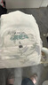 祺安【新品】4祺安丝柔棉眠超薄透气柔软新生儿纸尿裤拉拉裤便捷装 拉拉裤L码4片 实拍图