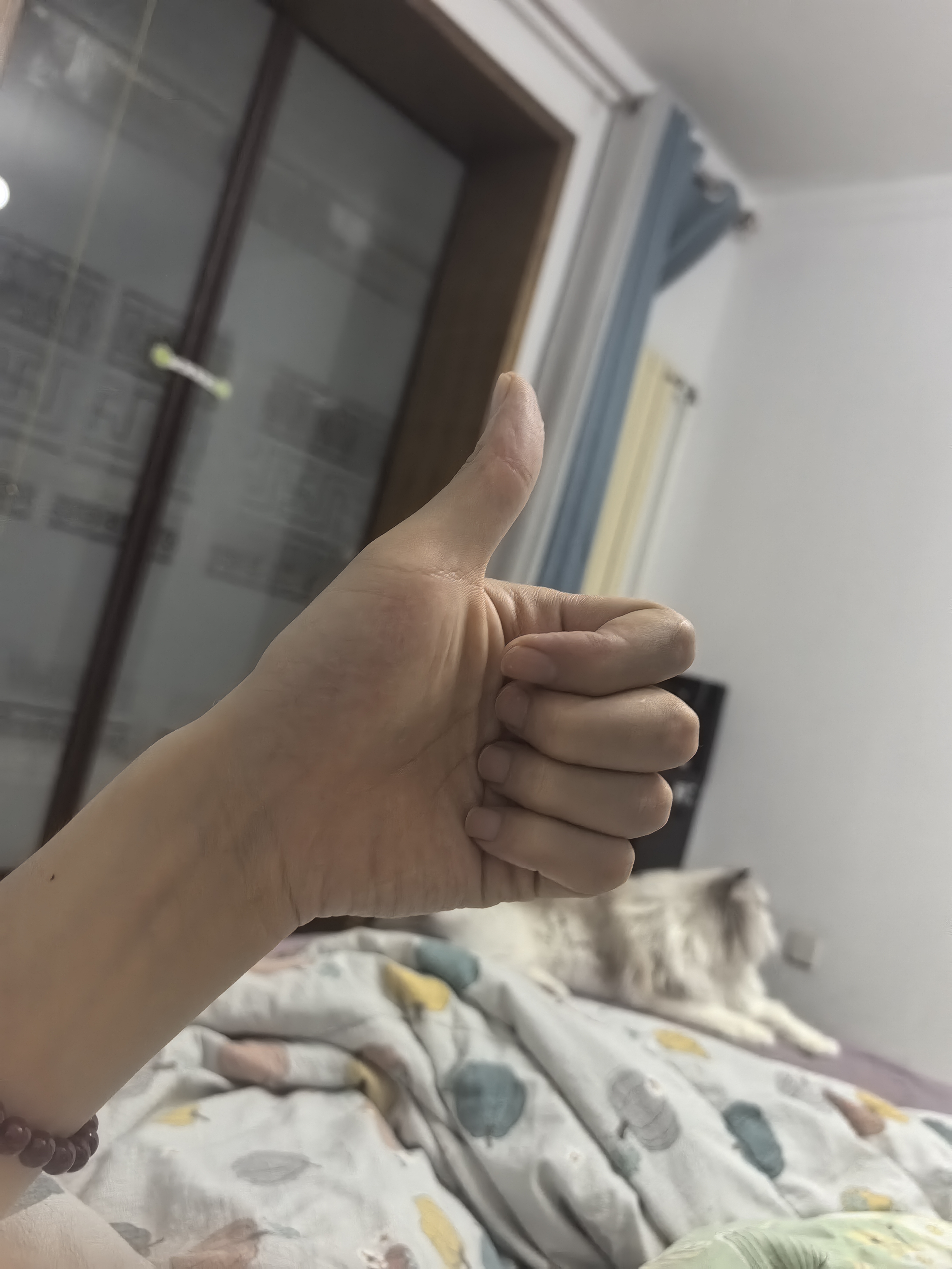 桌游猫手工DIY尼克狐狸公仔疯狂动物城周边朱迪玩偶抱枕娃娃送女生礼 实拍图