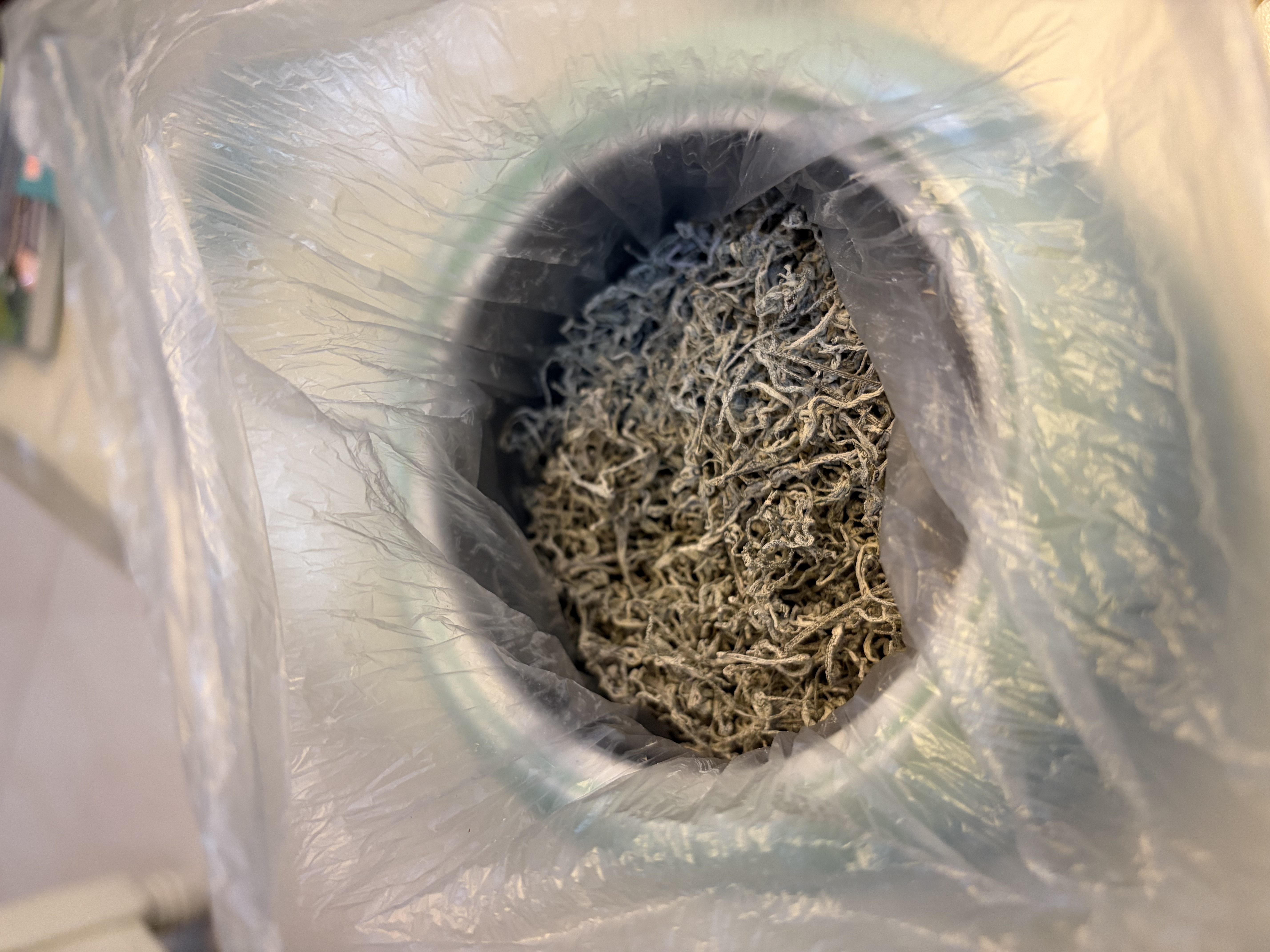 七春藤茶莓茶恩施来凤藤茶张高家界莓茶叶礼盒100g富硒黄酮口感好 实拍图