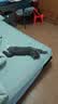 海洋之星低温烘焙冰川三文鱼猫粮成猫幼猫粮9kg（4.5kg*2） 实拍图