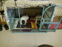 凯锐思 巴哥狗粮 八哥犬幼犬成犬专用巴哥犬狗粮小中型犬囤货装 【便臭管理】巴哥羊奶味40斤 实拍图