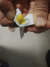 [东信] 吲哚美辛呋喃唑酮栓75mg:0.1g*10枚/盒 实拍图