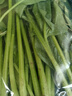 大菠菜300g 实拍图
