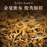 一杯香茶叶红茶武夷山头采金骏眉250g2026新茶礼盒装送礼自己喝散装古树 实拍图