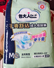 包大人（Dr.P）干爽舒适成人纸尿裤基础型L20片(腰围:80-130cm)老年人产妇尿不湿 实拍图