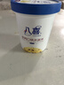 八喜大八喜香草草莓巧克力朗姆绿茶芒果饼干口味冰淇淋550g 饼干口味550g*1桶 实拍图
