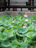 松下（Panasonic）Lumix G100D M43画幅相机 M43卡口 微单相机 无反数码相机 G100D+【12-60+25F1.7】双白盒套装 实拍图